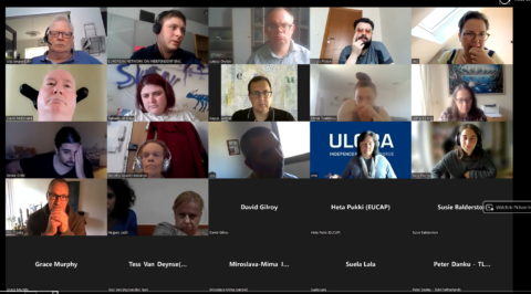 Image of a webinar with the participants which have their camera on