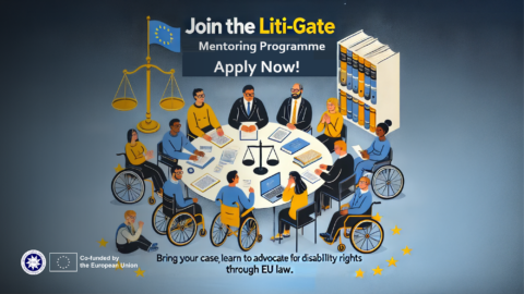 Join the liti-gate mentoring programme. Apply now. Bring your case, learn to advocate for disability rights through EU law