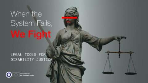 When the system fails, we fight. Legal tools for disability justice