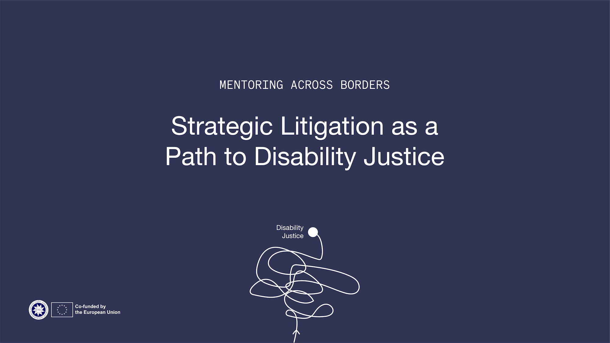 Mentoring Across Borders: Strategic Litigation as a Path to Disability Justice