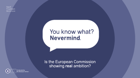 You know what? Nevermind. Is the European Commission showing real ambition? Equal Treatment Directive.