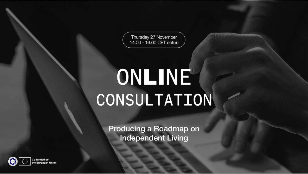 Online consultations: producing a roadmap on independent living