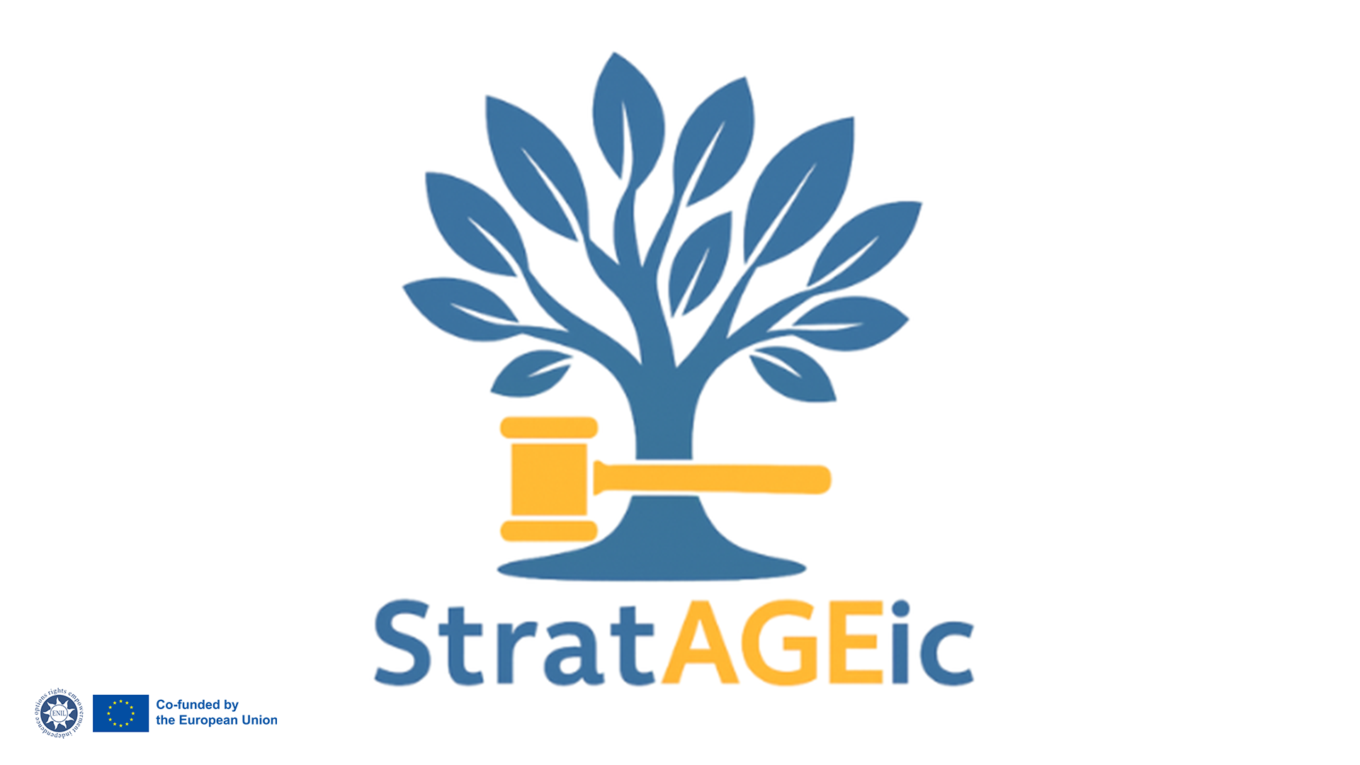 StratAGEic: Strategic Litigation to Tackle Age Discrimination