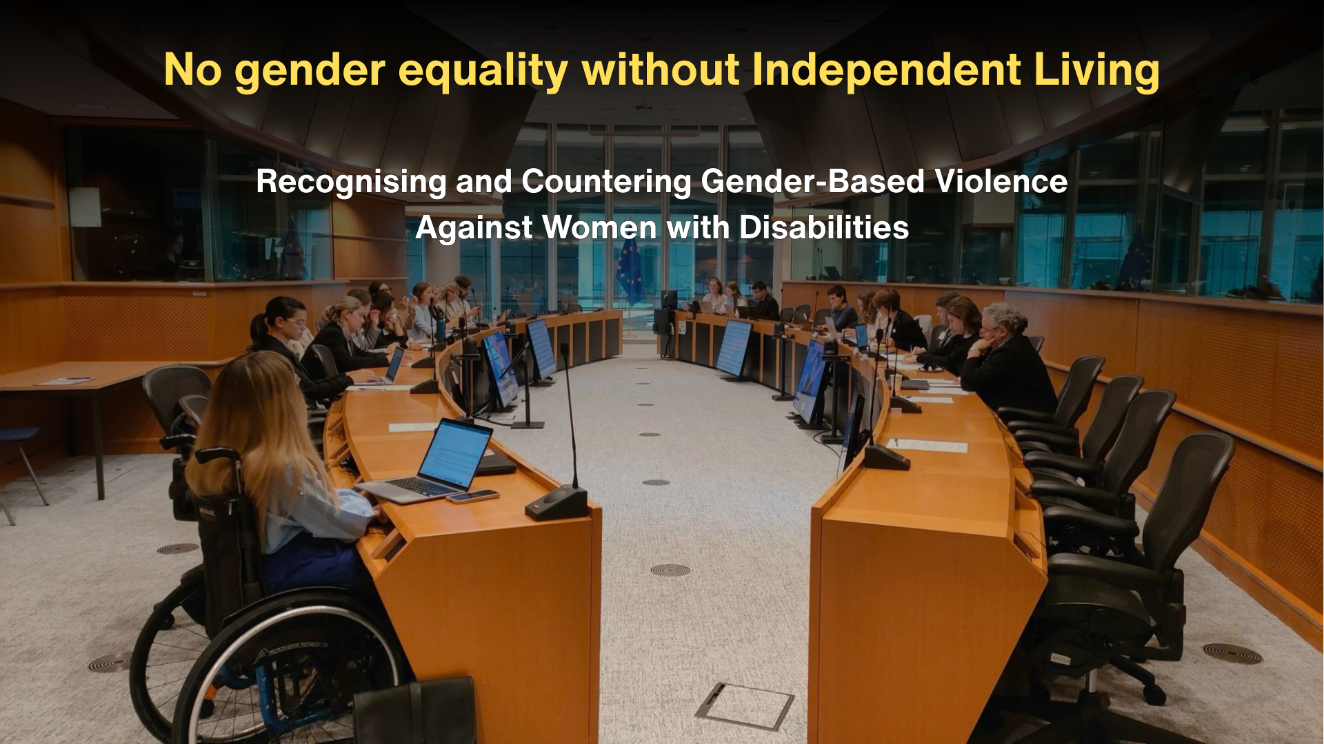 Recognising and Countering Gender-Based Violence Against Women with Disabilities
